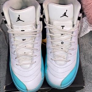 Aqua Jordan 12s